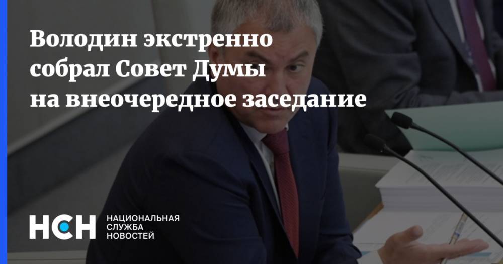 Владимир Путин - Вячеслав Володин - Володин экстренно собрал Совет Думы на внеочередное заседание - nsn.fm - Москва - Россия - Грузия - Тбилиси