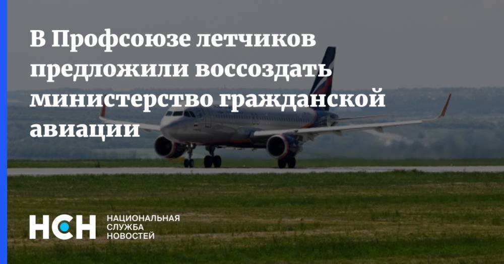 В Профсоюзе летчиков предложили воссоздать министерство гражданской авиации - nsn.fm - Россия - Казань