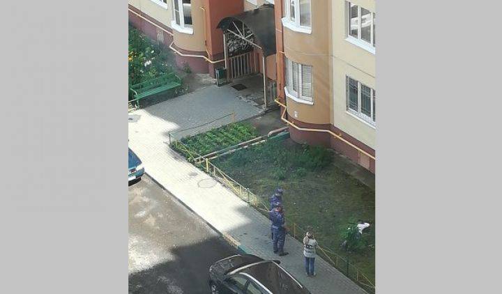 В Воронеже живодёр, который выкинул собаку с 8-го этажа, выпал из окна
- Новости Воронежа - moe-online.ru - Воронеж