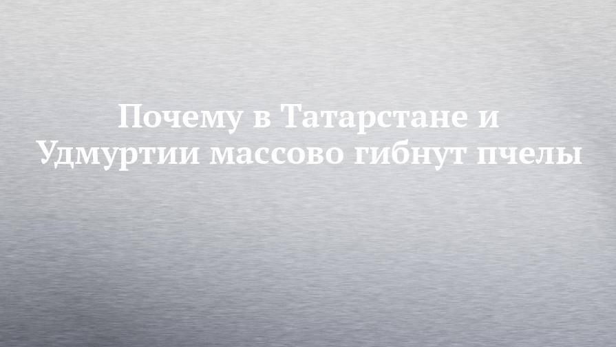 Почему в Татарстане и Удмуртии массово гибнут пчелы - chelny-izvest.ru - респ. Татарстан - респ. Удмуртия - район Тукаевский