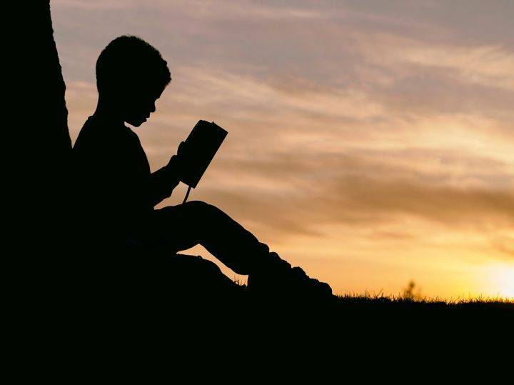 Пропавшего 10-летнего мальчика в Воронеже нашли живым - Новости Воронежа - moe-online.ru - Воронеж