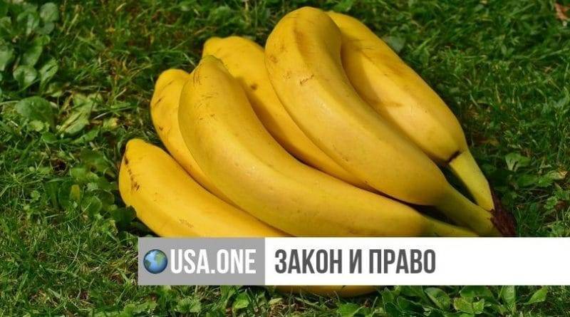 Подростки едва не убили учительницу шуткой с использованием бананов - usa.one - США - шт. Огайо - Washington