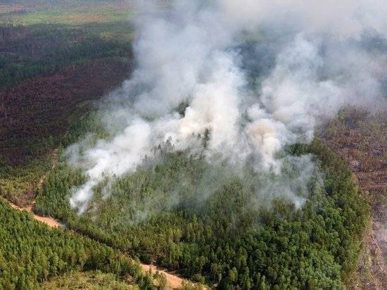 Сибирь пожирают лесные пожары: в Канаде дали совет - vestirossii.com - Россия - Англия - Колумбия - Канада - Эдмонтон