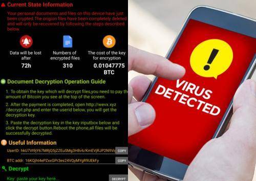 «Секс-симулятор» на Android заражал смартфоны вирусами - vistanews.ru - Словения