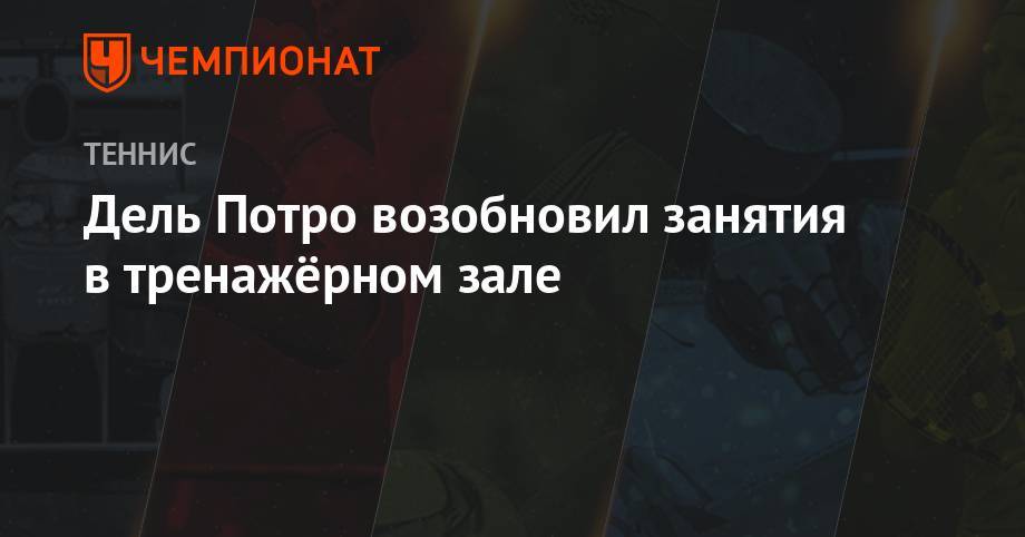 Денис Шаповалов - Дель Потро возобновил занятия в тренажёрном зале - championat.com - США - Англия - Лондон - Испания - Канада
