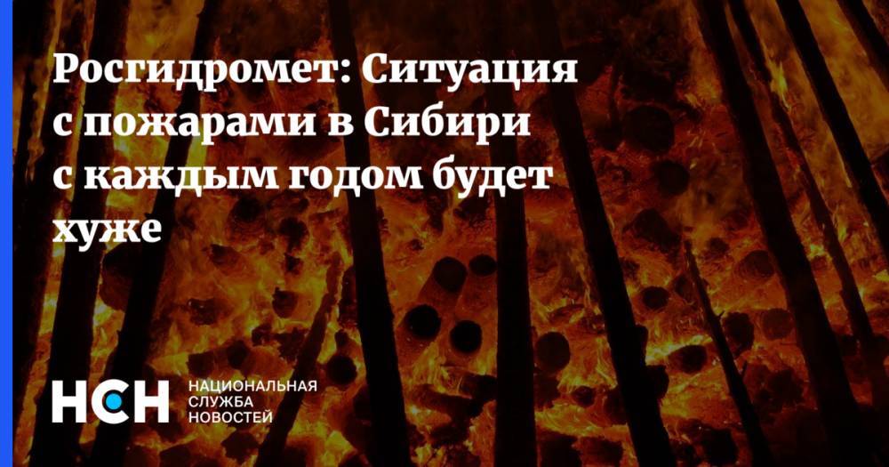 Владимир Путин - Дмитрий Медведев - Росгидромет: Ситуация с пожарами в Сибири с каждым годом будет хуже - nsn.fm - Россия - Красноярск