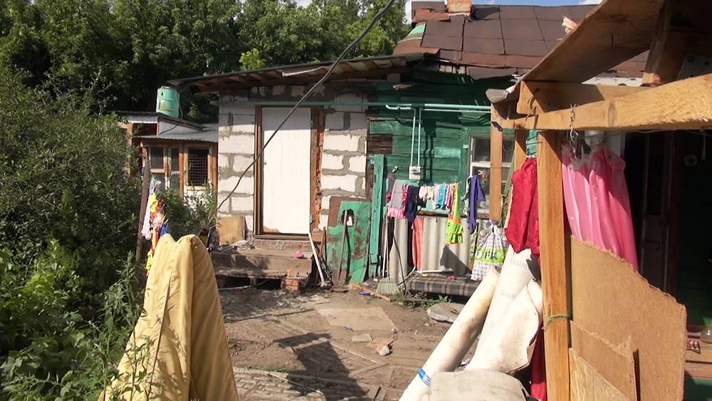 В Саратове мать шестилетней девочки устроила дома псарню - tvc.ru - Саратовская обл. - Саратов
