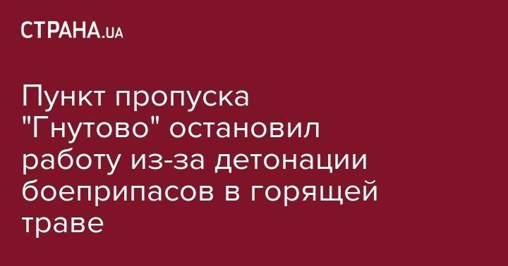 Пункт пропуска "Гнутово" остановил работу из-за детонации боеприпасов в горящей траве - strana.ua - Донецк