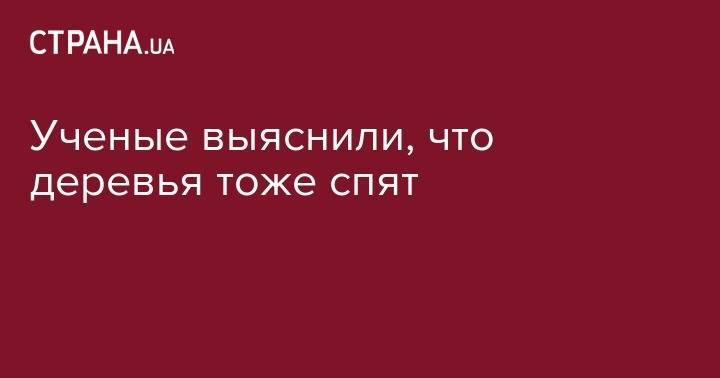 Ученые выяснили, что деревья тоже спят - strana.ua - Австрия - Финляндия