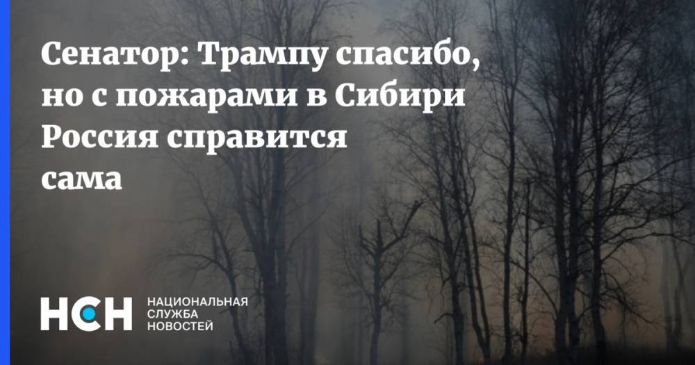 Дональд Трамп - Владимир Путин - Владимир Джабаров - Сенатор: Трампу спасибо, но с пожарами в Сибири Россия справится сама - nsn.fm - Москва - Россия - США - Красноярский край - Иркутская обл. - Казахстан - респ. Саха - респ.Бурятия