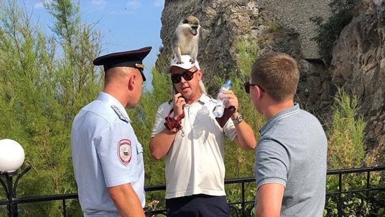 Сергей Аксенов - У "Ласточкина гнезда" полиция забрала у фотографов сову - crimea.ria.ru - Крым - Симферополь