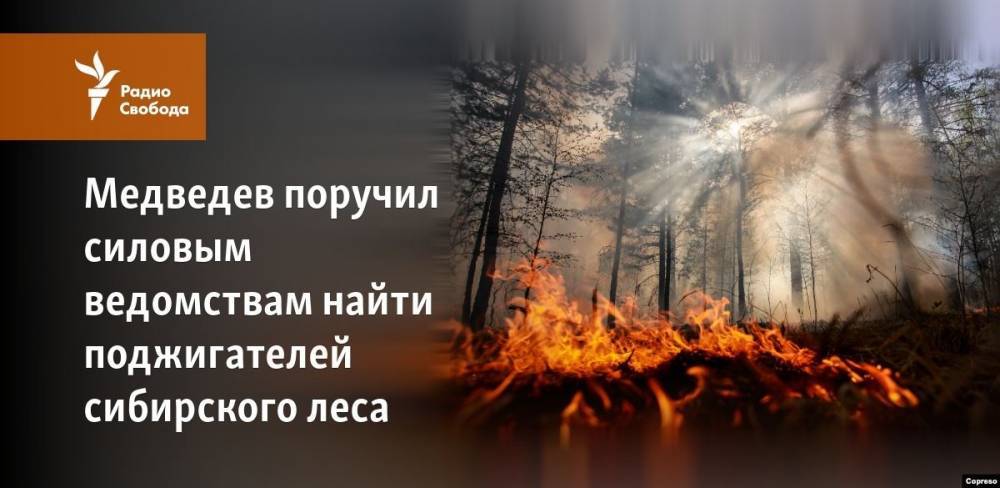 Владимир Путин - Дмитрий Медведев - Александр Усс - Медведев поручил силовым ведомствам найти поджигателей сибирского леса - svoboda.org - Россия - Красноярский край - Иркутская обл. - респ. Саха - респ.Бурятия - Чита