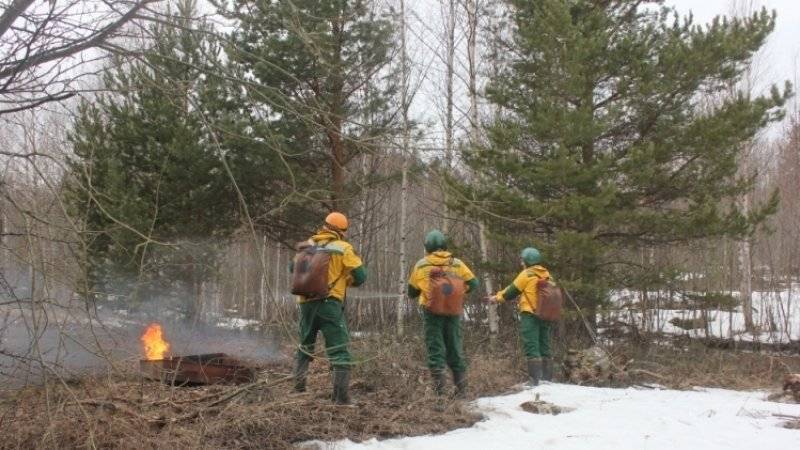Причиной пожаров в Сибири назвали неэффективную борьбу с очагами возгораний - polit.info - Россия - Красноярский край - Иркутская обл. - Казахстан - респ. Саха