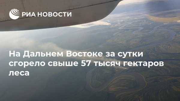 На Дальнем Востоке за сутки сгорело свыше 57 тысяч гектаров леса - vestirossii.com - Амурская обл. - Хабаровский край - респ. Саха - респ.Бурятия - Камчатский край - Чукотка - Владивосток - Забайкальский край