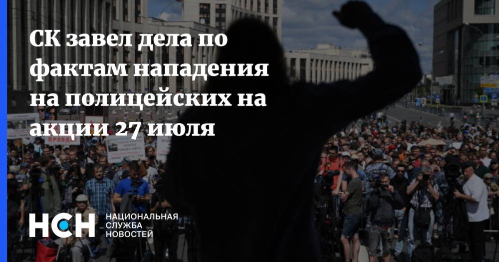 Юлия Иванова - СК завел дела по фактам нападения на полицейских на акции 27 июля - nsn.fm - Москва - Россия