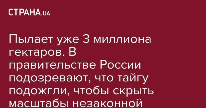 Дональд Трамп - Дмитрий Медведев - Александр Чуприян - Дмитрий Кобылкин - Пылает уже 3 миллиона гектаров. В правительстве России подозревают, что тайгу подожгли, чтобы скрыть масштабы незаконной вырубки - strana.ua - Россия - США - Красноярский край - Иркутская обл. - респ. Саха - респ.Бурятия