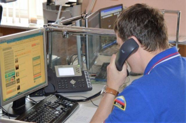 Спасатели вытащили из подтопленных домов Тулуна 30 собак и кошек - aif.ru - Иркутская обл.
