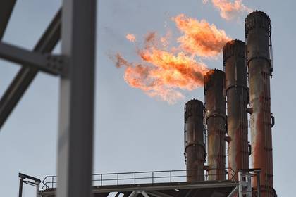 Леонид Михельсон - Японцы отказались добывать российский газ - lenta.ru - Россия - Япония - Саудовская Аравия