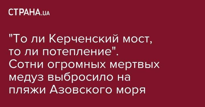 "То ли Керченский мост, то ли потепление". Сотни огромных мертвых медуз выбросило на пляжи Азовского моря - strana.ua - Англия - Одесса - Геническ - Херсонская обл.