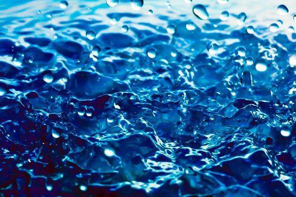 Леонардо Да-Винч - Имеет ли вода память? - ecosever.ru - Россия - Италия - Франция