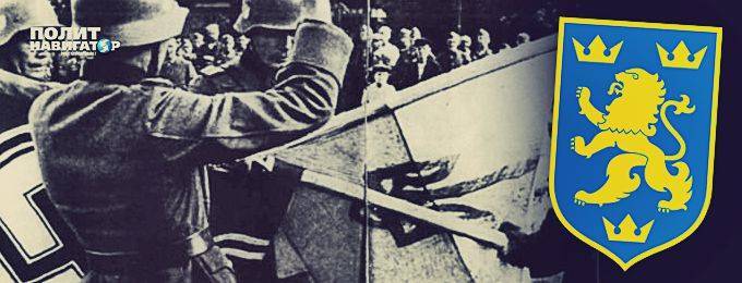 Поставим точку: СС «Галичина» – мрази и преступники - politnavigator.net - Украина - Киев - Запорожье