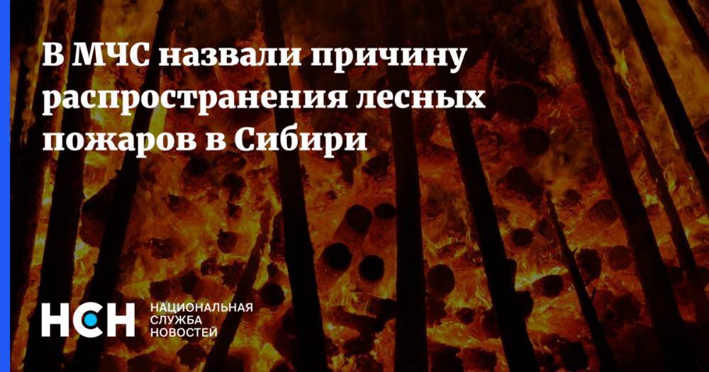 Дмитрий Медведев - В МЧС назвали причину распространения лесных пожаров в Сибири - nsn.fm - Россия