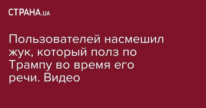 Дональд Трамп - Пользователей насмешил жук, который полз по Трампу во время его речи. Видео - strana.ua - США - Афганистан
