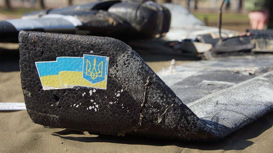 Армия Украины нанесла удар с беспилотников по позициям ДНР - iz.ru - Украина - обл. Донецкая - ДНР - Минск - ЛНР - Мариуполь