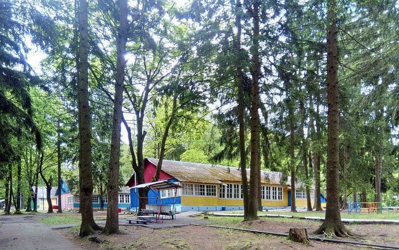 Прокуратура нашла восемь нарушений СанПиН в смоленском лагере «Юный ленинец» - readovka.ru - Смоленск