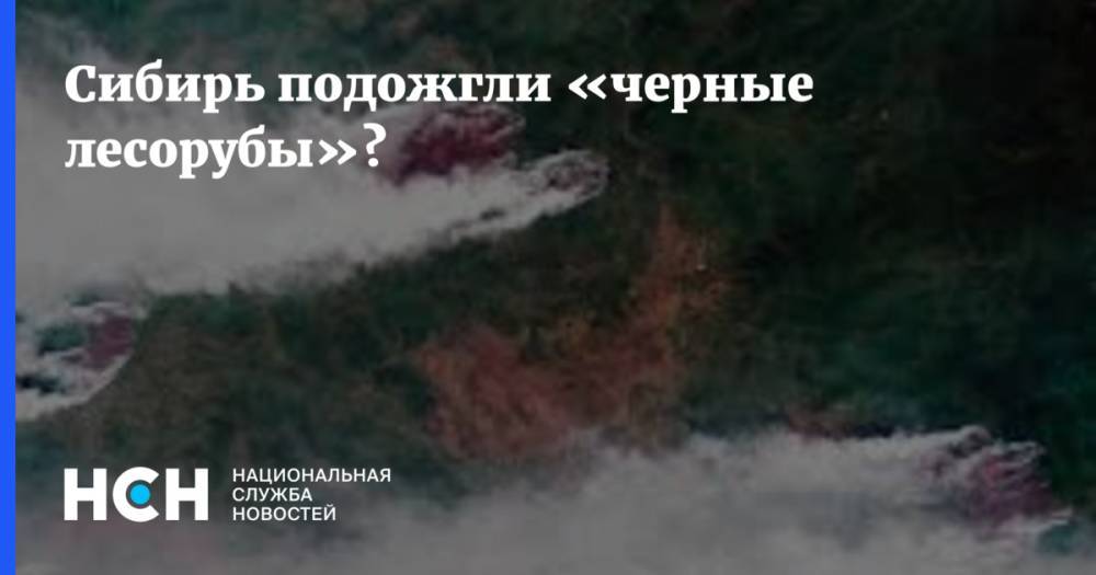 Дмитрий Медведев - Владимир Бурматов - Светлана Петренко - Дмитрий Булгаков - Александр Бастрыкин - Сергей Зверев - Алексей Мухин - Сибирь подожгли «черные лесорубы»? - nsn.fm - Россия - Красноярский край - Чита