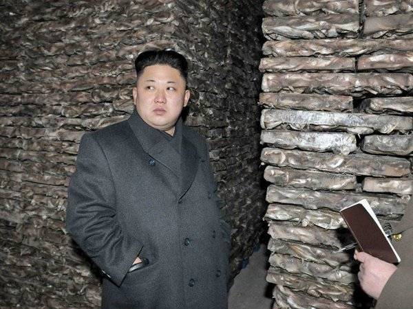 Ким Ченын - КНДР заявила об испытаниях нового оружия - polit.ru - Южная Корея - КНДР - Корея