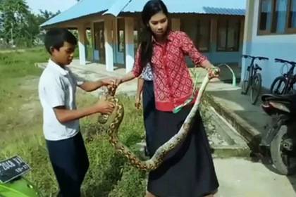 Учительница голыми руками поборола питона и спасла детей - lenta.ru - Indonesia