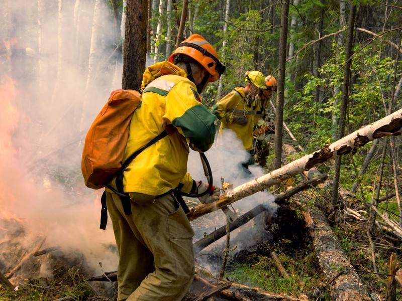 Число лесных пожаров в Иркутской области сократилось до 125 - news.ru