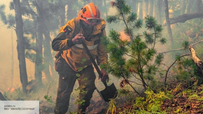 Спасатели локализовали начавшийся пожар в лесу на Кубани - politros.com - Краснодарский край - район Туапсинский