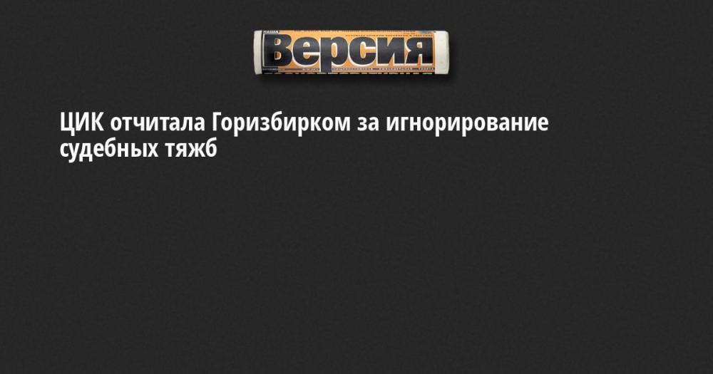 Николай Булаев - ЦИК отчитала Горизбирком за игнорирование судебных тяжб - neva.versia.ru