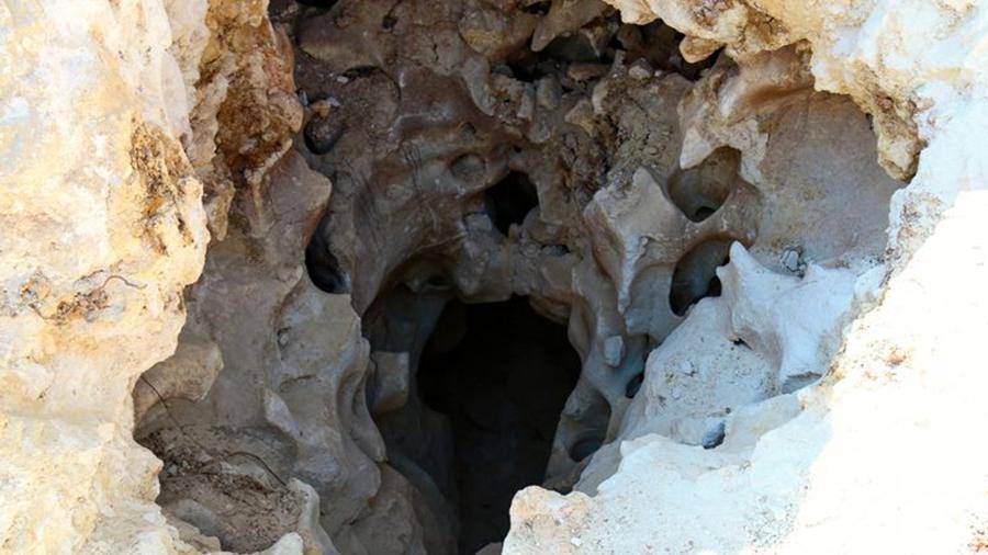 Геннадий Самохин - Неизвестные микроорганизмы обнаружены в крымской пещере «Таврида» - iz.ru - Россия