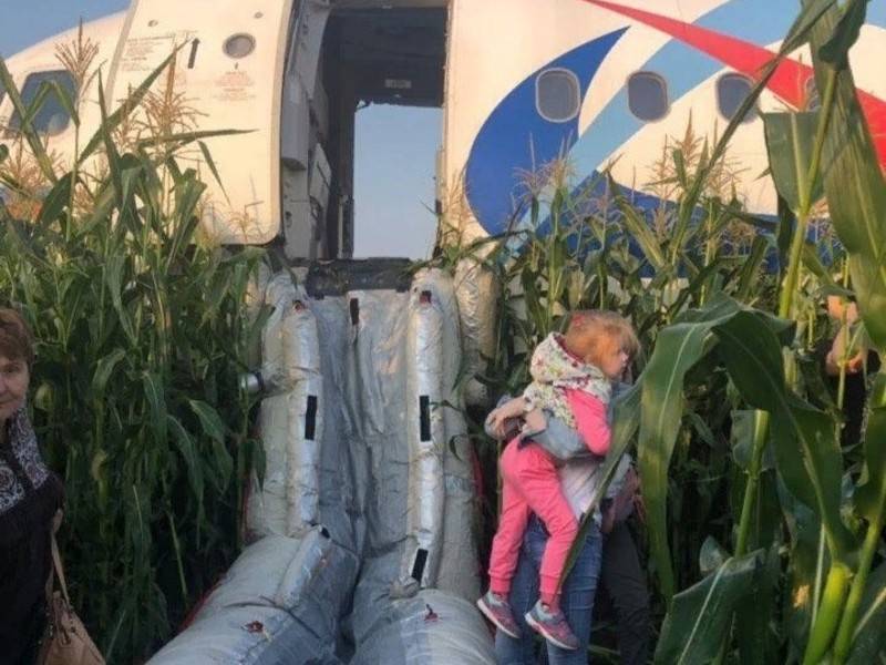 Пассажирка экстренно севшего в Жуковском лайнера: люди эвакуировались сами - news.ru - Жуковский