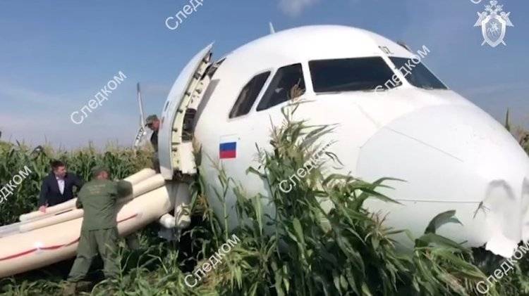 После аварийной посадки А-321 в Подмосковье за медпомощью обратились 55 человек - polit.info - Симферополь