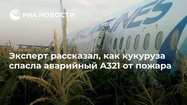 Вадим Лукашевич - Эксперт рассказал, как кукуруза спасла аварийный A321 от пожара - vestirossii.com - Москва