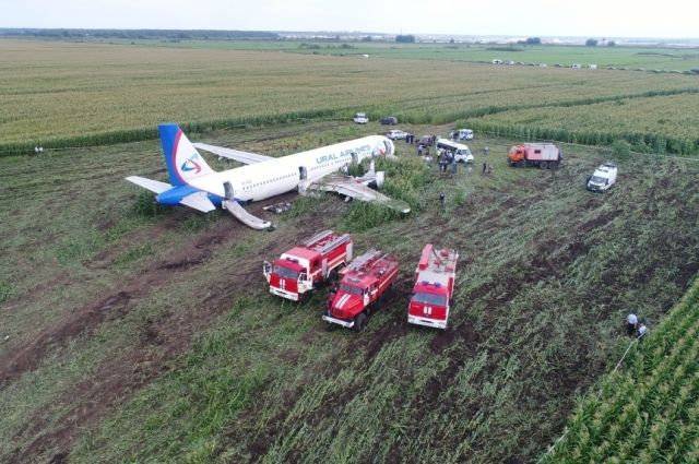 Причиной аварийной посадки А321 могла стать политика властей Подмосковья в отношении незаконных свалок - readovka.news - Москва - Симферополь