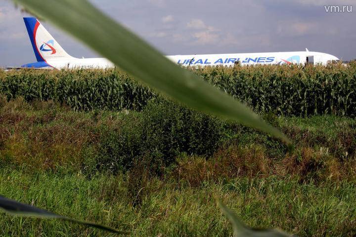 Пассажиры A321 отправятся в Симферополь из Жуковского и Домодедово - vm.ru - Симферополь