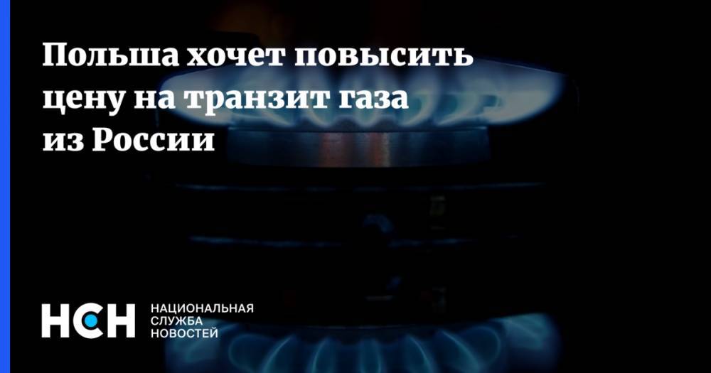 Петр Наимский - Польша хочет повысить цену на транзит газа из России - nsn.fm - Польша