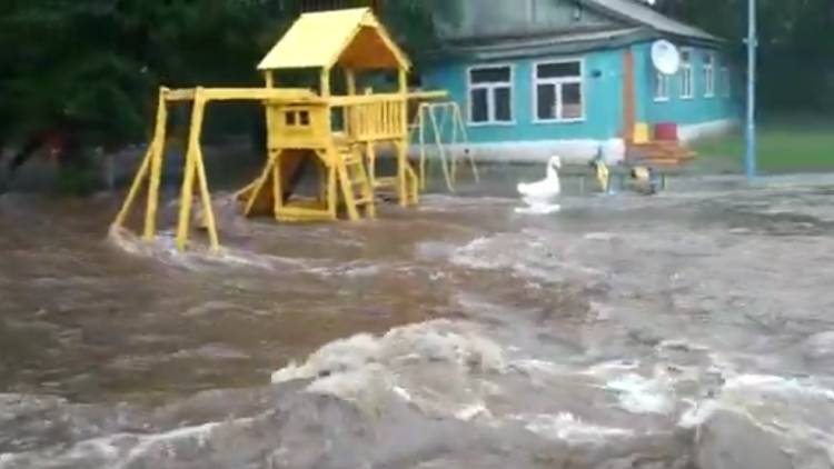 Тайфун подтопил семнадцать участков дорог в Приморье - polit.info - Приморье край - Приморье