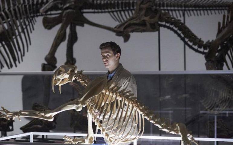 Скелет динозавра возрастом 155 миллионов лет продадут на аукционе в ОАЭ - vm.ru - Эмираты