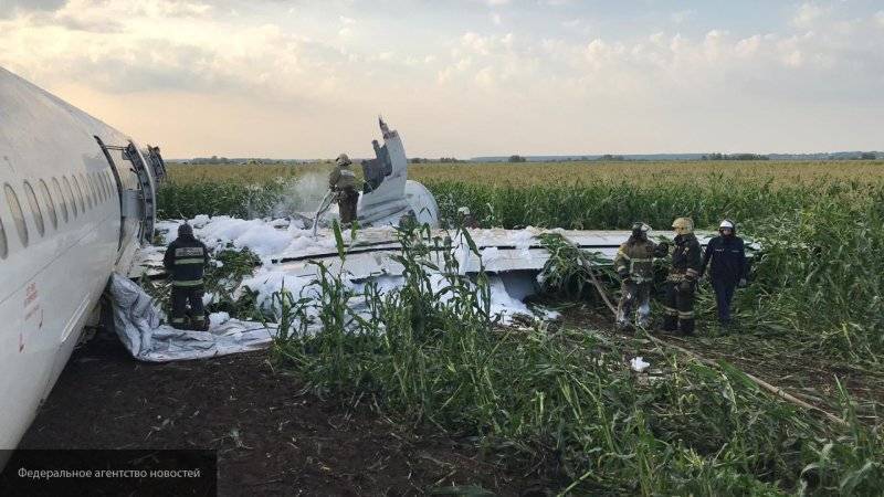 Георгий Мурзин - Второй пилот А-321 попал в больницу с ушибами груди - nation-news.ru - Симферополь