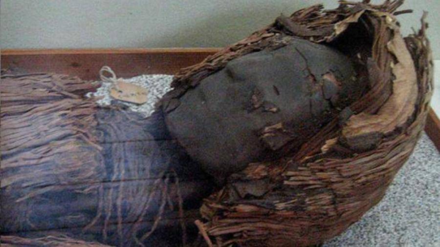 Мансур Хади - Мумии возрастом около 3 тыс. лет обнаружены в Йемене - iz.ru - Йемен