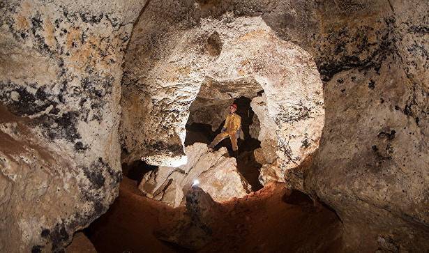 Геннадий Самохин - Обнаруженный в пещере «Таврида» налет оказался микробами возрастом около 5 млн лет - newtvnews.ru - Россия