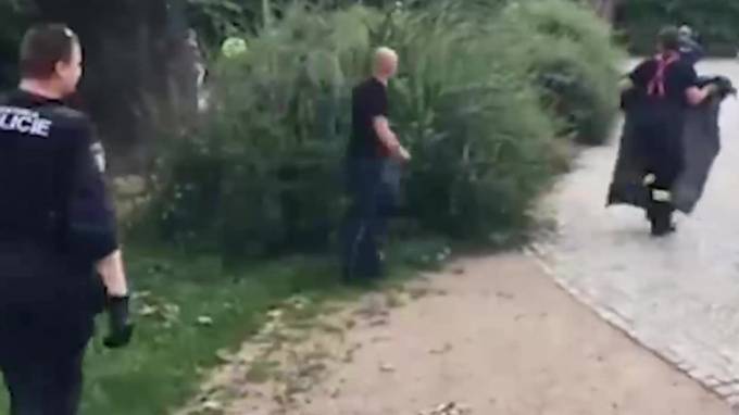 Видео из Чехии: Полиция 8 часов бегала за сбежавшими свиньями - piter.tv - Чехия - Брно
