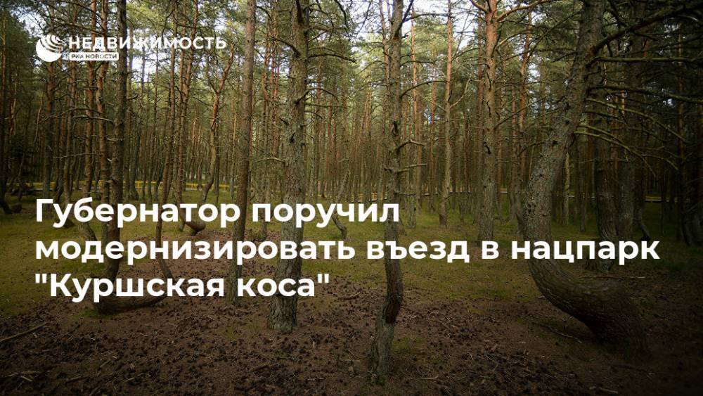 Антон Алиханов - Алиханов поручил модернизировать въезд в нацпарк "Куршская коса" - realty.ria.ru - Калининград - Калининградская обл. - Балтийское Море - Экология