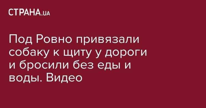 Под Ровно привязали собаку к щиту у дороги и бросили без еды и воды. Видео - strana.ua - США - Киев - Житомир - район Ровенский